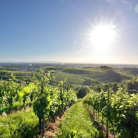 Ferienwohnungen Weingut Pieper Basler Όφενμπουργκ Εξωτερικό φωτογραφία